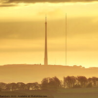 Buy canvas prints of Golden Dawn At Emley Moor by Alison Chambers