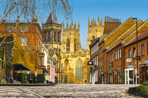 York Minster And Surrounding Buildings Picture Board by Alison Chambers