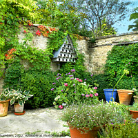Buy canvas prints of A Courtyard Garden by Alison Chambers