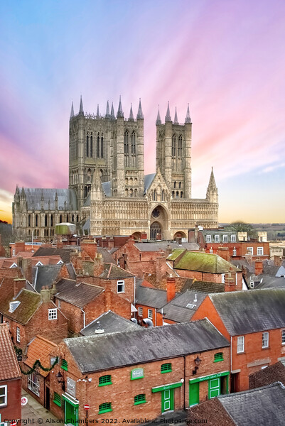 Lincoln Cathedral And Rooftops Picture Board by Alison Chambers