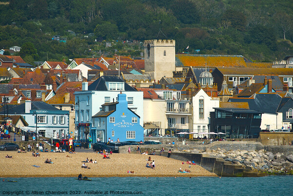 View Of Lyme Regis Picture Board by Alison Chambers