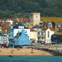 Buy canvas prints of View Of Lyme Regis by Alison Chambers