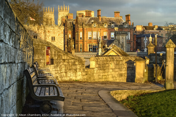 A Sunny Evening In York Picture Board by Alison Chambers