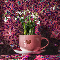 Buy canvas prints of Snowdrops In A Cup by Alison Chambers