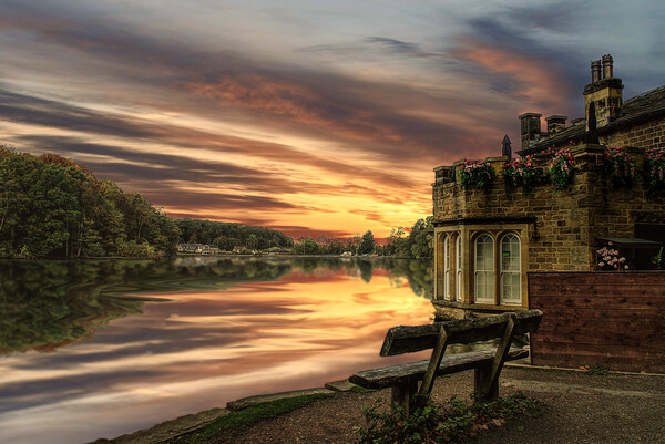 Sunset At Newmillerdam Boathouse  Picture Board by Alison Chambers