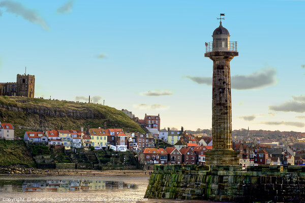 Whitby Harbour Lighthouse, North Yorkshire Coast  Picture Board by Alison Chambers