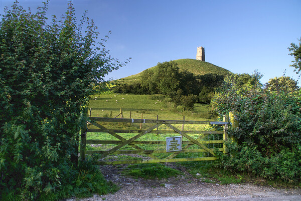 Glastonbury Tor Somerset  Picture Board by Alison Chambers