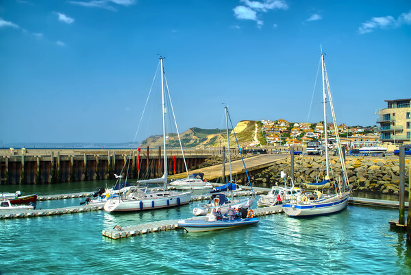 West Bay Harbour Picture Board by Alison Chambers