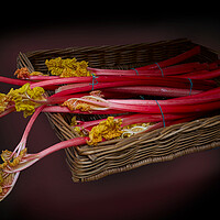 Buy canvas prints of Wakefield Rhubarb  by Alison Chambers
