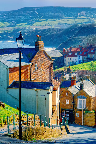 Robin Hoods Bay   Picture Board by Alison Chambers