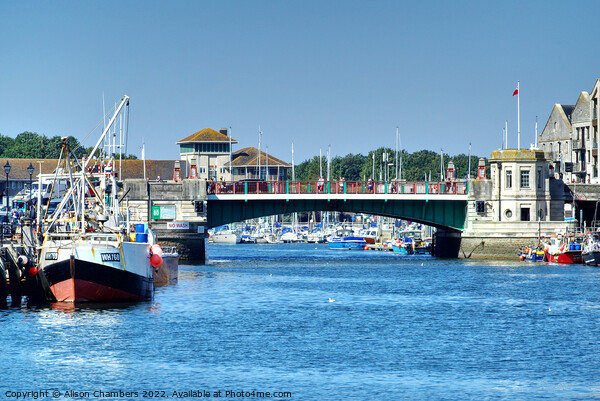 Weymouth Town Bridge Picture Board by Alison Chambers