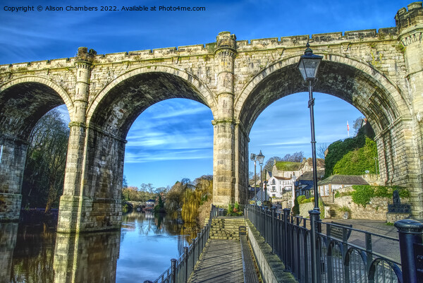 Knaresborough Viaduct Close Up, North Yorkshire  Picture Board by Alison Chambers