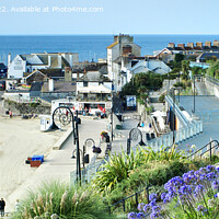 Buy canvas prints of View Of Lyme Regis Panorama, Dorset   by Alison Chambers