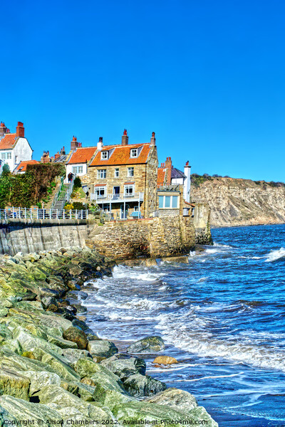 Robin Hood's Bay Portrait , North Yorkshire Coast  Picture Board by Alison Chambers