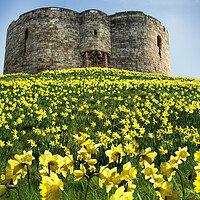 Buy canvas prints of Cliffords Tower, York by Alison Chambers