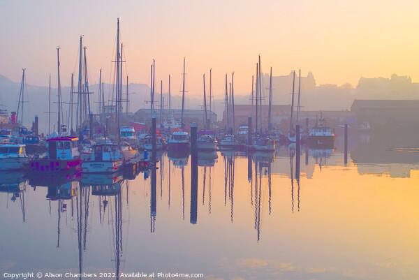 Scarborough Harbour Sunset, North Yorkshire Coast  Picture Board by Alison Chambers
