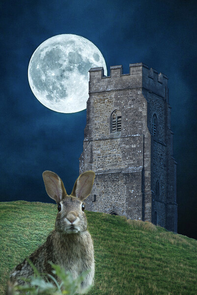 Glastonbury Moon Hare Picture Board by Alison Chambers