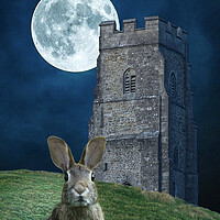 Buy canvas prints of Glastonbury Moon Hare by Alison Chambers