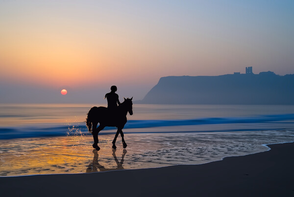 Rider At Dawn, Scarborough  Picture Board by Alison Chambers