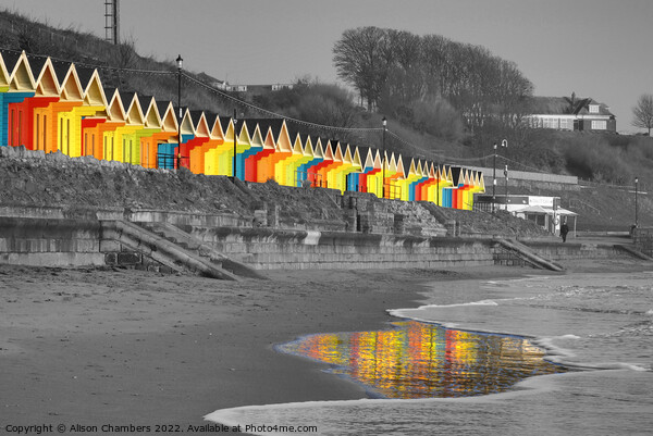 Scarborough Beach Huts (colour selection) Picture Board by Alison Chambers