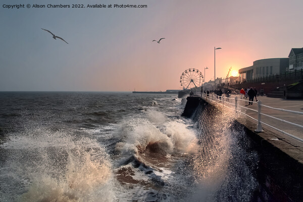 Bridlington Sunset Crashing Waves, Yorkshire Coast Picture Board by Alison Chambers