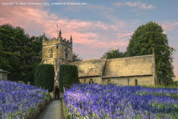 English Bluebell Church Picture Board by Alison Chambers