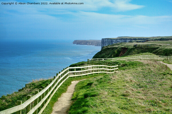 Flamborough Heritage Coast Cliffs Picture Board by Alison Chambers