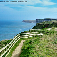 Buy canvas prints of Flamborough Heritage Coast Cliffs by Alison Chambers