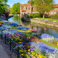 Buy canvas prints of Canterbury Westgate Park Gardens by Alison Chambers