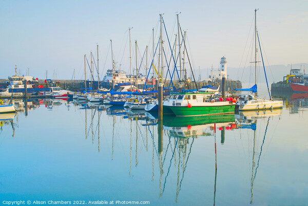 Scarborough Harbour Serene  Picture Board by Alison Chambers