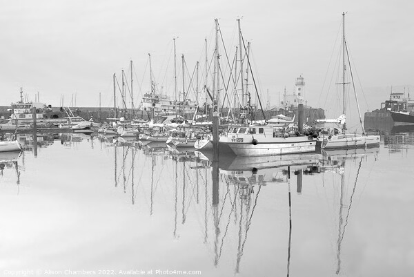 Scarborough Harbour Serene B&W Picture Board by Alison Chambers