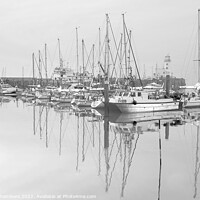 Buy canvas prints of Scarborough Harbour Serene B&W by Alison Chambers