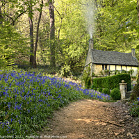 Buy canvas prints of Woodland Cottage by Alison Chambers
