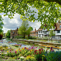 Buy canvas prints of Spring In Westgate Park  Canterbury  by Alison Chambers
