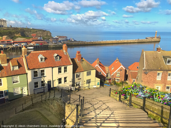  199 Steps Whitby Picture Board by Alison Chambers