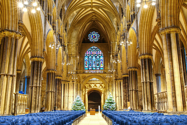 Lincoln Cathedral Interior  Picture Board by Alison Chambers