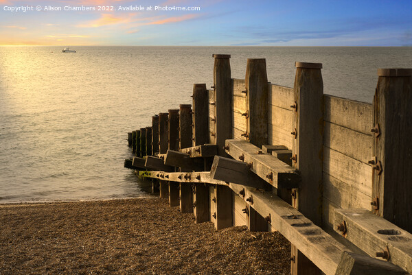 Whitstable Sea Groyne Picture Board by Alison Chambers