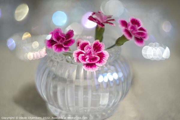 Dianthus In Glass Votive Picture Board by Alison Chambers
