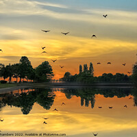 Buy canvas prints of Pontefract Park Sunset by Alison Chambers