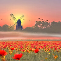 Buy canvas prints of Norfolk Poppy Field by Alison Chambers