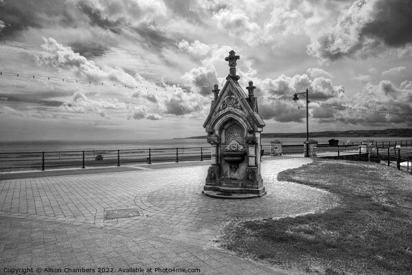 Filey Monochrome  Picture Board by Alison Chambers