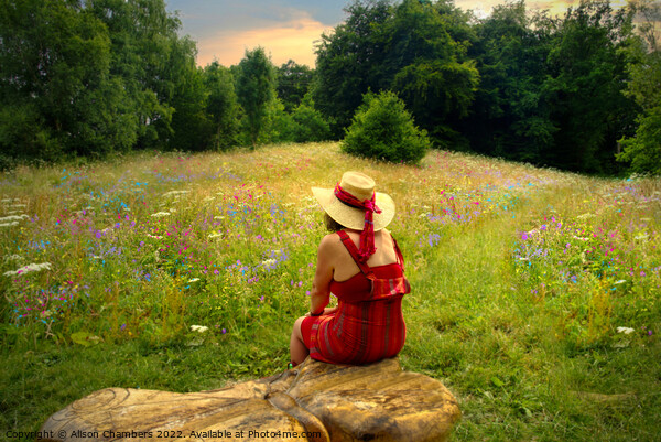 Summer Days in Huddersfield Wildflower Meadow Picture Board by Alison Chambers