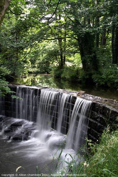 Huddersfield Woodland Waterfall  Picture Board by Alison Chambers