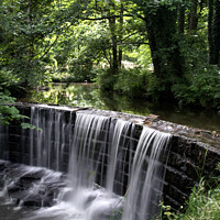 Buy canvas prints of Huddersfield Woodland Waterfall  by Alison Chambers