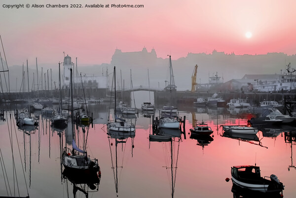 Scarborough Harbour Evening Red Sky Picture Board by Alison Chambers