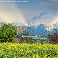 Buy canvas prints of Golden Fields and Silver Linings by Alison Chambers