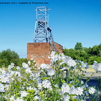 Buy canvas prints of Barnsley Main Colliery  by Alison Chambers