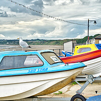 Buy canvas prints of Filey No Parking For Seagulls  by Alison Chambers