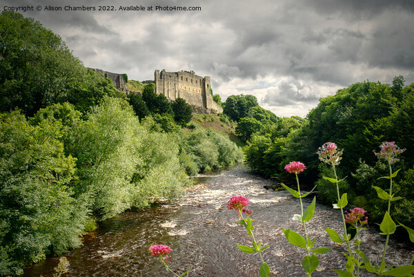 Richmond Castle Above River Swale Picture Board by Alison Chambers