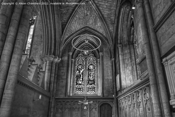 Ripon Cathedral Chapel Of St Peter Monochrome  Picture Board by Alison Chambers